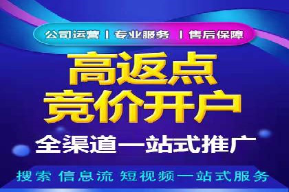 SEM代理案例：优化策略助力企业增长